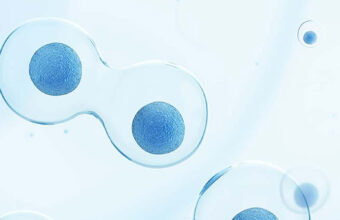 Stem cell therapy