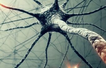 Neurodegeneration